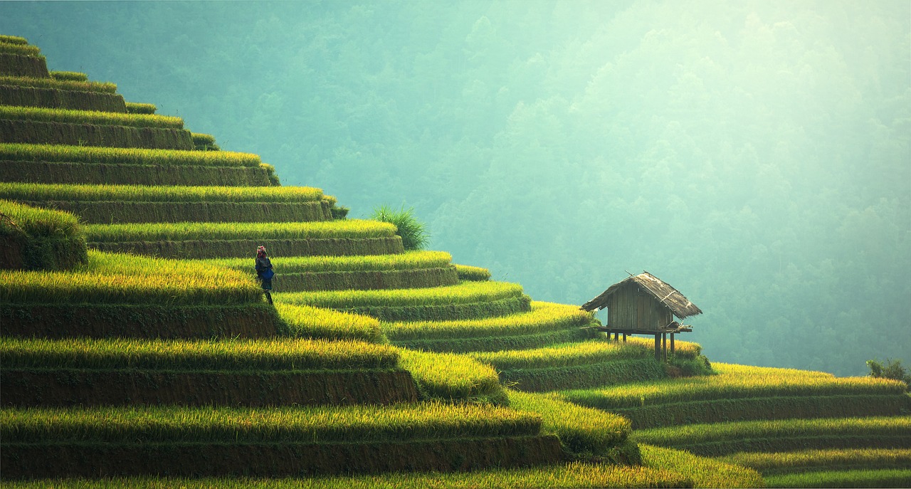 découvrez comment les technologies durables transforment notre avenir. explorez des solutions innovantes qui favorisent la protection de l'environnement tout en répondant aux besoins économiques et sociaux.