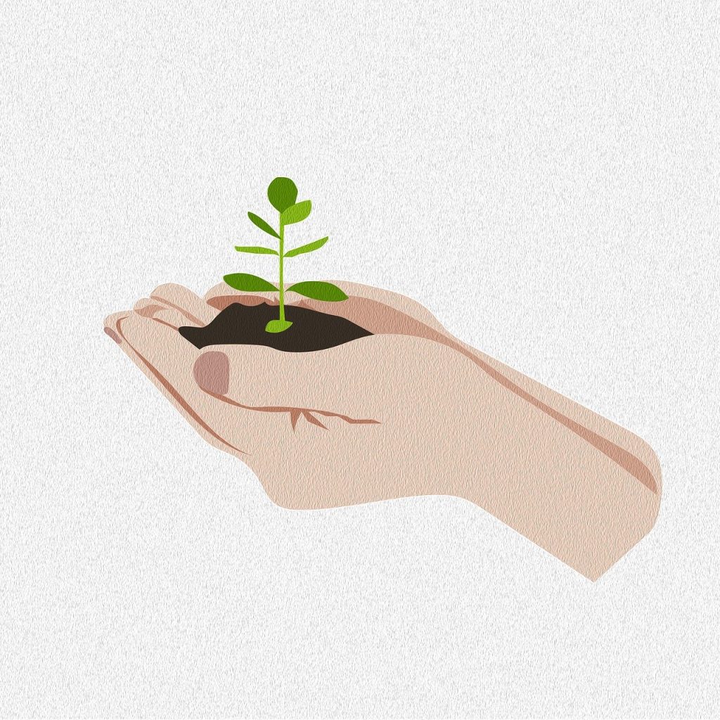 Comprendre la pollution des sols : causes, conséquences et solutions