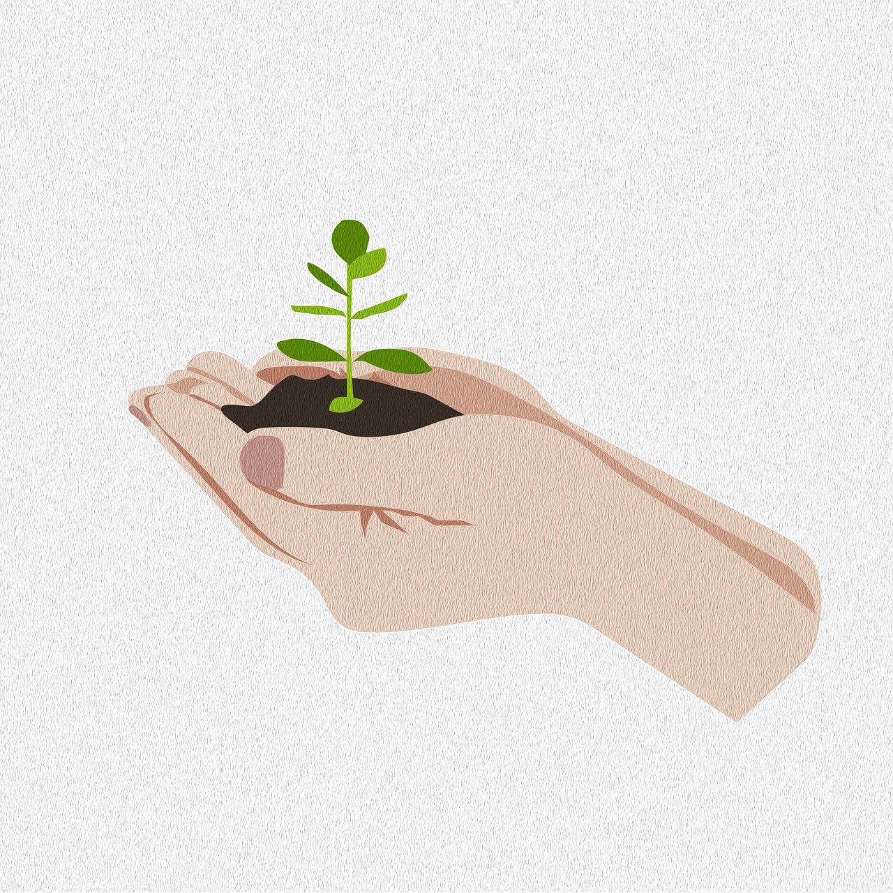découvrez les causes et les conséquences de la pollution des sols, ainsi que les mesures à prendre pour préserver notre environnement. informez-vous sur les enjeux écologiques et les solutions durables pour lutter contre cette problématique croissante.
