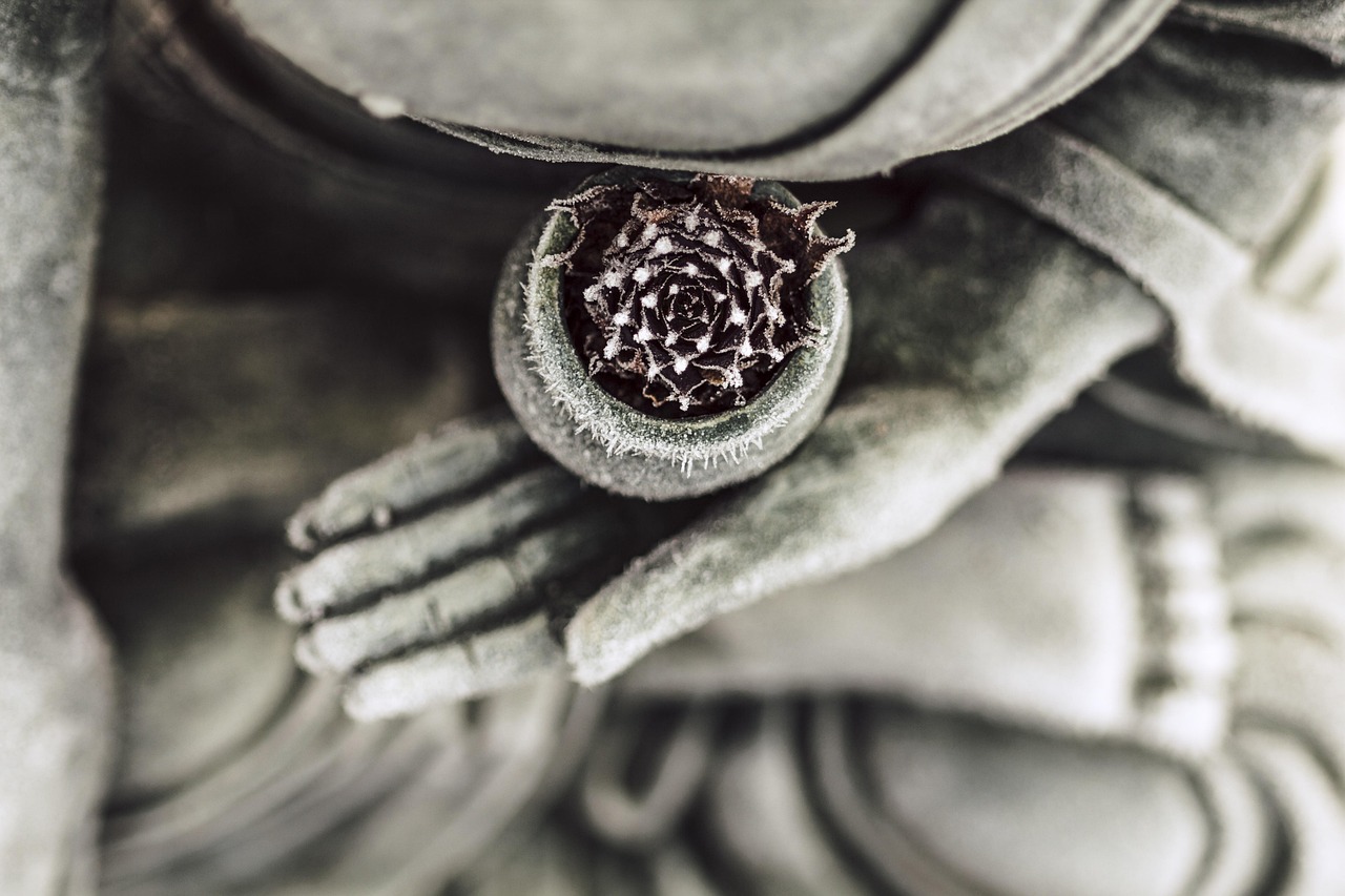 découvrez l'importance de la culture de la sensibilisation dans notre société moderne. apprenez comment promouvoir la conscience collective et encourager des actions significatives pour un avenir meilleur.