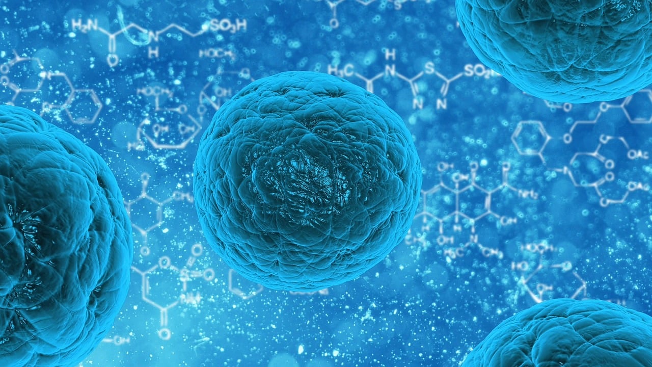 découvrez l'importance de la recherche appliquée dans l'innovation et le développement. explorez comment cette approche scientifique permet de résoudre des problèmes concrets et d'améliorer la qualité de vie à travers des solutions pratiques et efficaces.