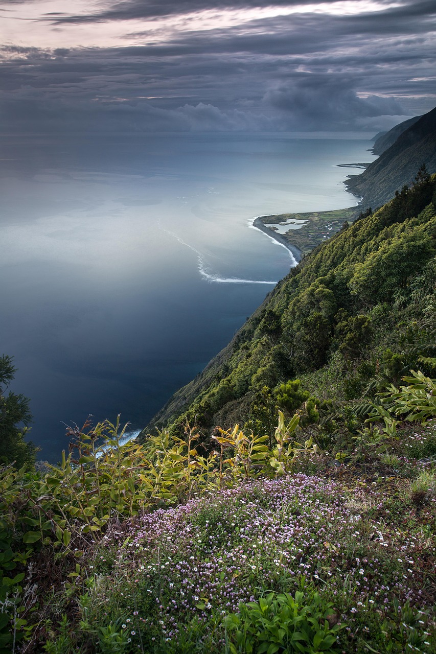 découvrez l'importance de la biodiversité pour notre écosystème, son impact sur la santé de la planète et les actions à entreprendre pour la préserver. apprenez comment chaque espèce joue un rôle vital dans le maintien de l'équilibre naturel.