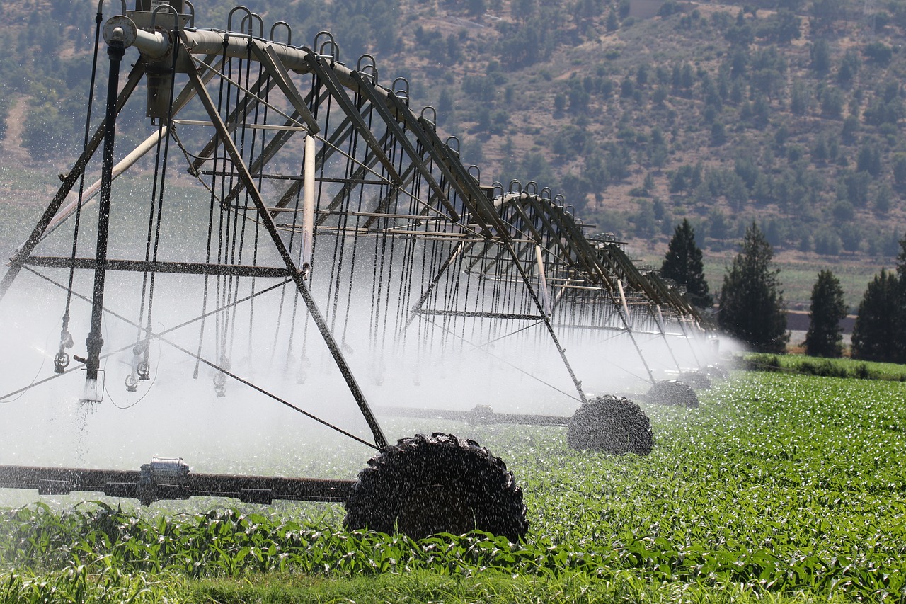 découvrez des stratégies et des solutions innovantes pour s'adapter aux changements climatiques. apprenez comment les communautés, les entreprises et les gouvernements réagissent face aux défis environnementaux croissants et explorent des méthodes durables pour un avenir résilient.