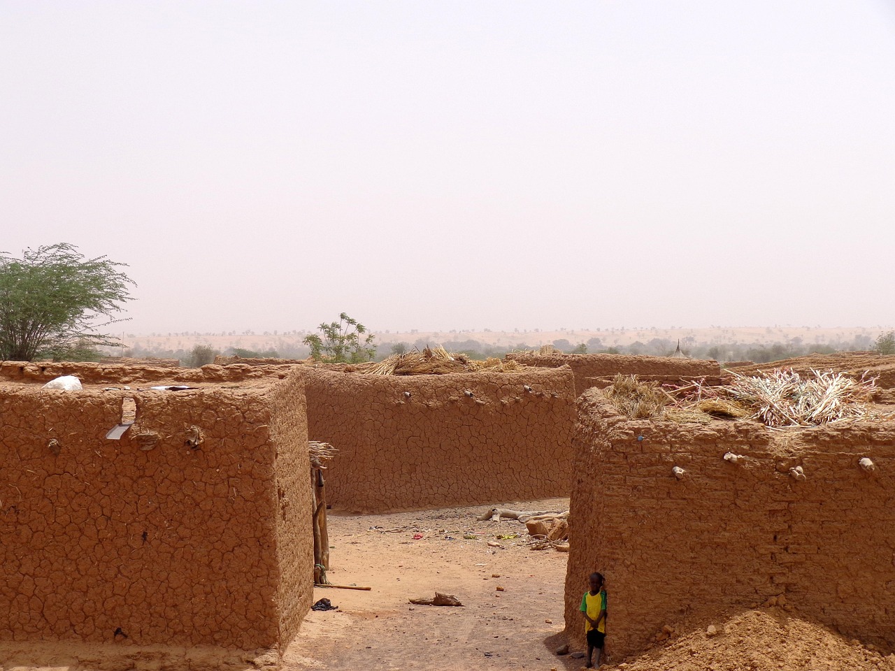 découvrez les enjeux de la désertification, un phénomène climatique alarmant qui menace la biodiversité et les écosystèmes. apprenez comment la dégradation des terres impacte les communautés et explorez des solutions durables pour préserver notre environnement.