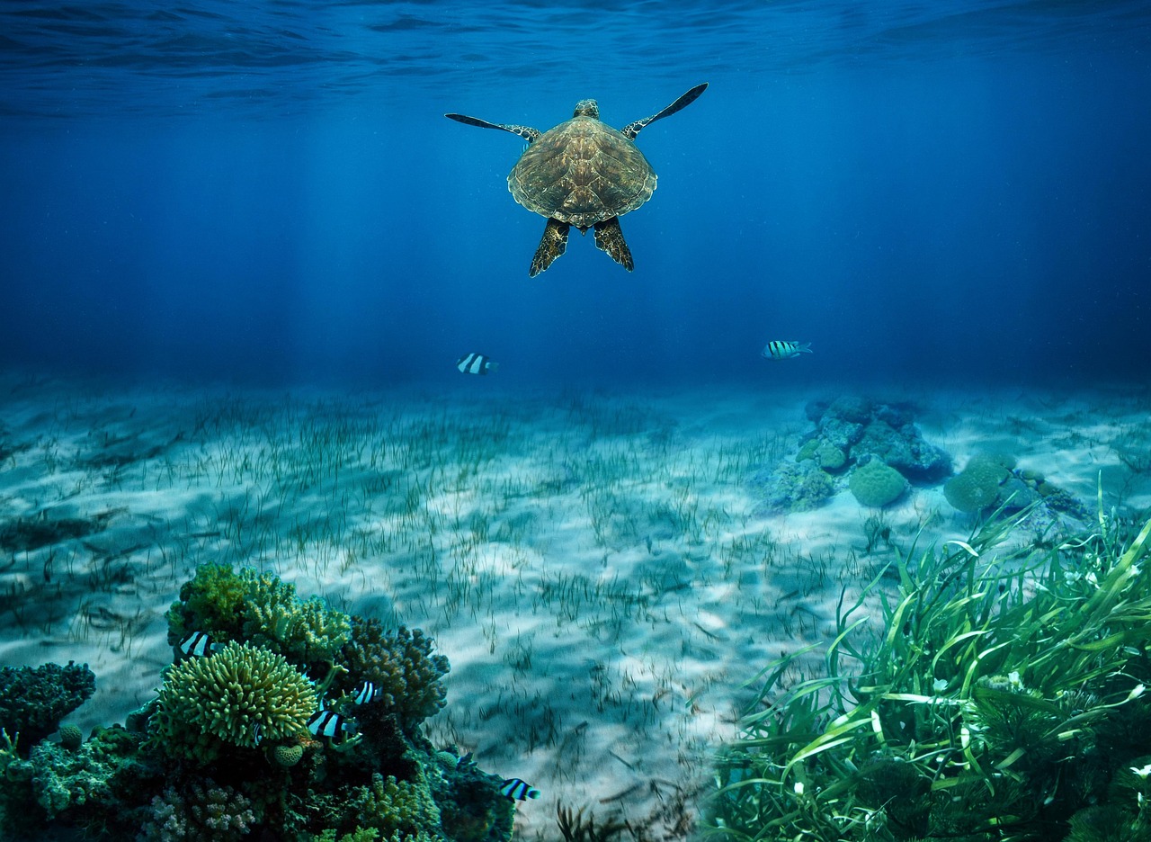 découvrez notre article sur les écosystèmes, où nous explorons la diversité des habitats naturels, les interactions entre les espèces et l'importance de la conservation. plongez dans un monde fascinant et apprenez comment chaque élément joue un rôle crucial dans l'équilibre de notre planète.