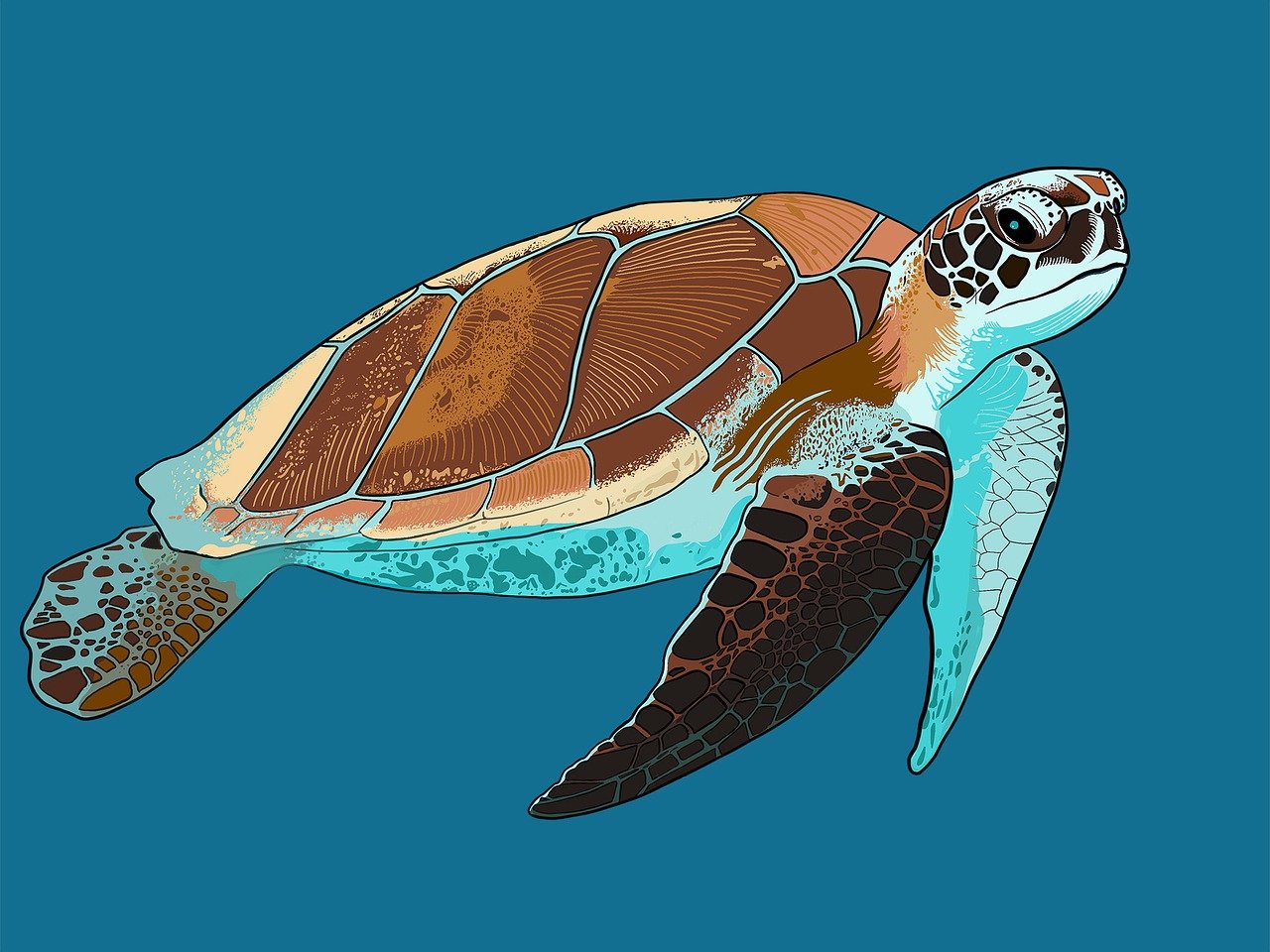 découvrez les écosystèmes marins, habitat riche et diversifié, où se mêlent coraux, poissons et faune unique. explorez leur importance pour notre planète et les menaces qui pèsent sur leur survie.