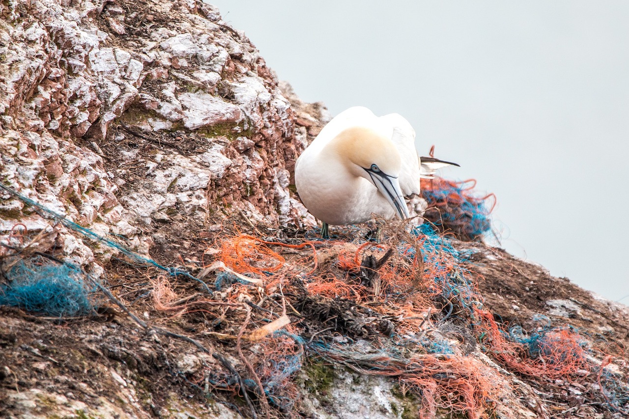 découvrez les enjeux de la pollution marine, ses causes et ses conséquences sur les écosystèmes marins. informez-vous sur les actions à entreprendre pour protéger nos océans et préserver la biodiversité.
