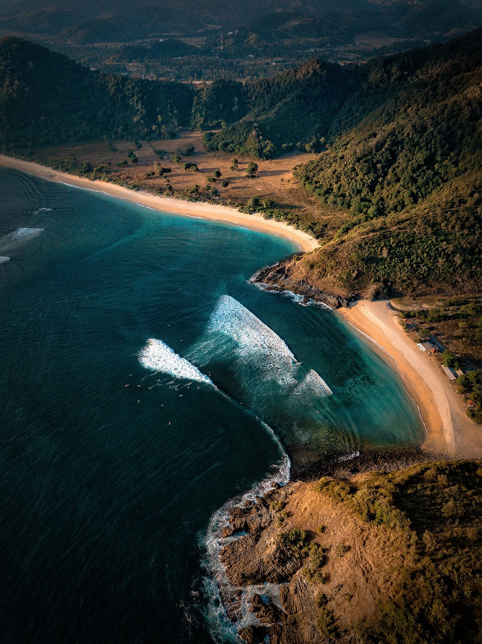 découvrez les ressources marines, essentielles à notre écosystème et à notre économie. apprenez-en plus sur la biodiversité marine, l'aquaculture durable et les initiatives de préservation qui protègent nos océans et soutiennent la vie marine.