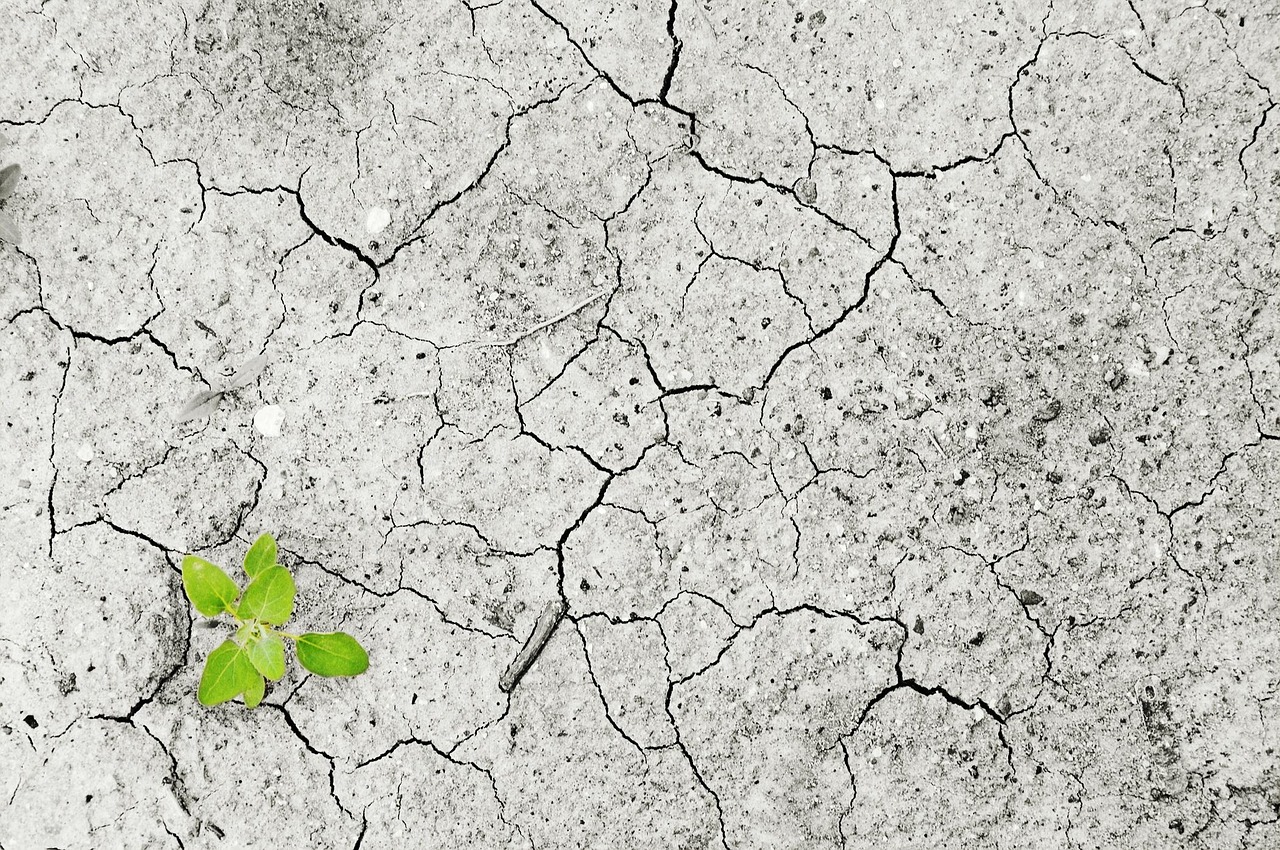 découvrez les causes et les conséquences de la pollution des sols, un problème environnemental majeur. apprenez comment la contamination du sol affecte notre santé, notre écosystème et les solutions pour préserver nos ressources naturelles.