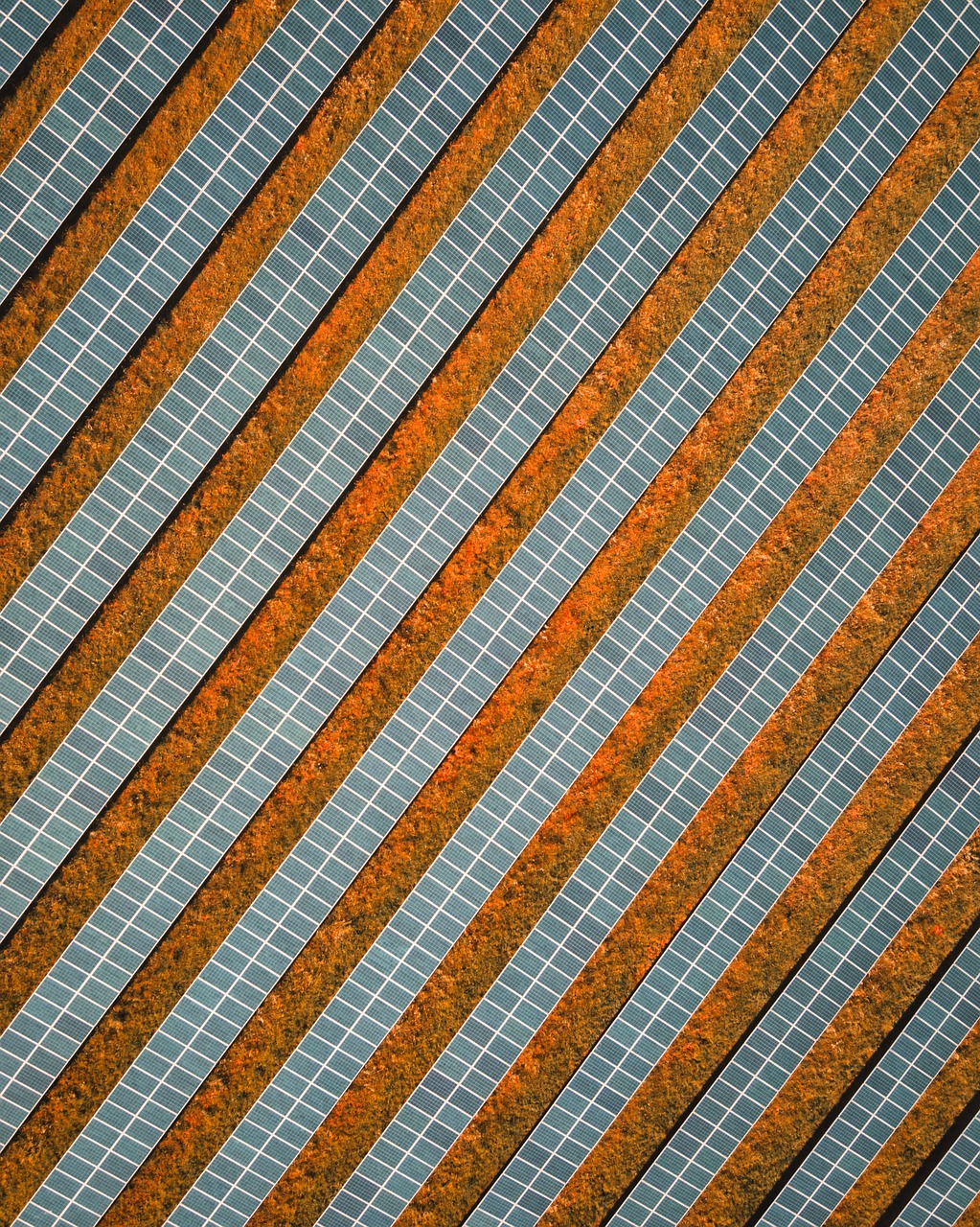 découvrez l'énergie solaire, une source d'énergie renouvelable et durable qui transforme la lumière du soleil en électricité. apprenez comment cette technologie innovante contribue à réduire les émissions de carbone et à promouvoir un avenir énergétique plus propre et plus vert.