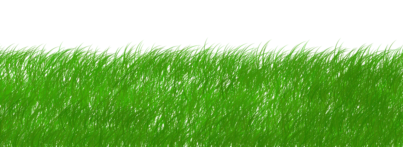 découvrez les enjeux de la durabilité et comment adopter des pratiques respectueuses de l'environnement pour un avenir meilleur. explorez des stratégies innovantes, des conseils pratiques et des initiatives écoresponsables pour promouvoir un mode de vie durable.