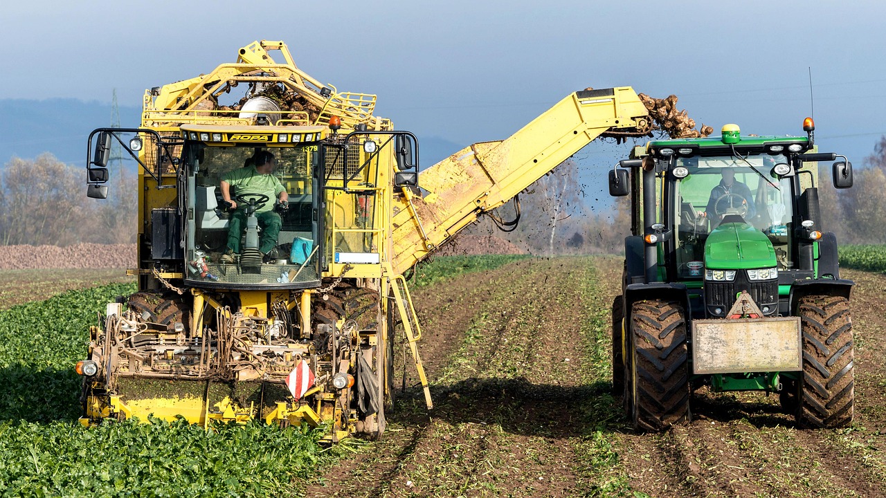 découvrez les pratiques de l'agriculture durable qui préservent l'environnement tout en garantissant des récoltes de qualité. apprenez comment ces méthodes innovantes favorisent la biodiversité, réduisent l'usage des ressources et soutiennent les communautés locales.