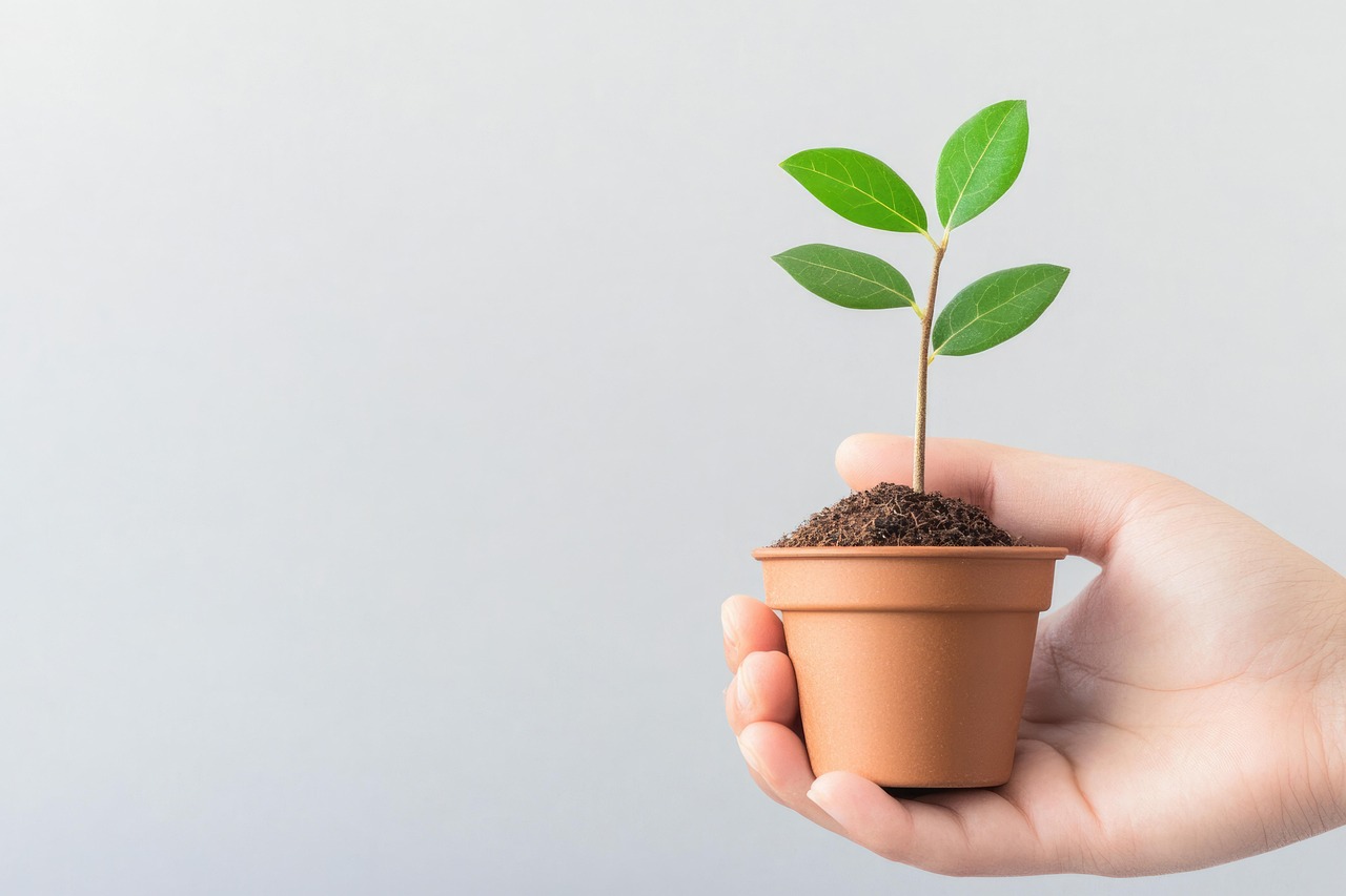 découvrez comment favoriser une croissance durable grâce à des pratiques respectueuses de l'environnement et des stratégies innovantes. engagez-vous vers un avenir meilleur en intégrant des solutions durables dans votre entreprise.