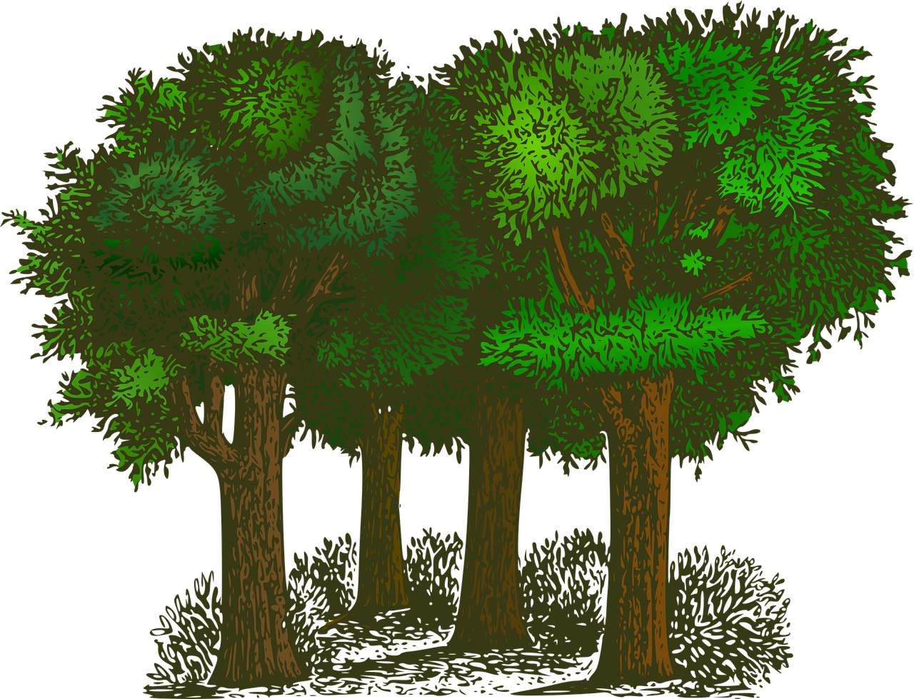 découvrez le monde fascinant de l'écologie, une science essentielle qui étudie les relations entre les êtres vivants et leur environnement. explorez les enjeux environnementaux, les solutions durables et l'importance de la biodiversité pour un avenir plus vert.