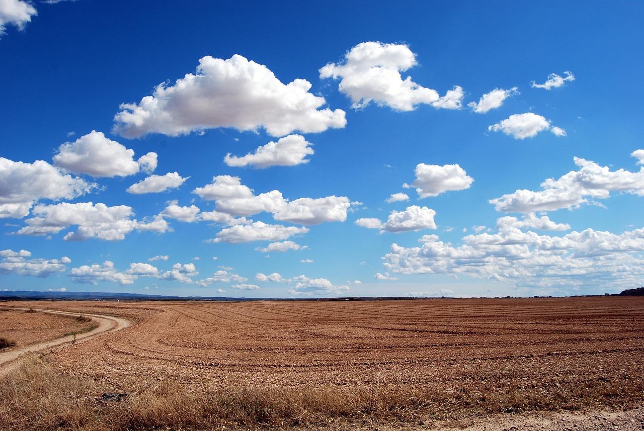 découvrez l'importance de la protection des terres agricoles pour la durabilité de notre environnement et la sécurité alimentaire. apprenez les meilleures pratiques et les initiatives pour préserver ces ressources précieuses tout en soutenant les agriculteurs et les communautés.