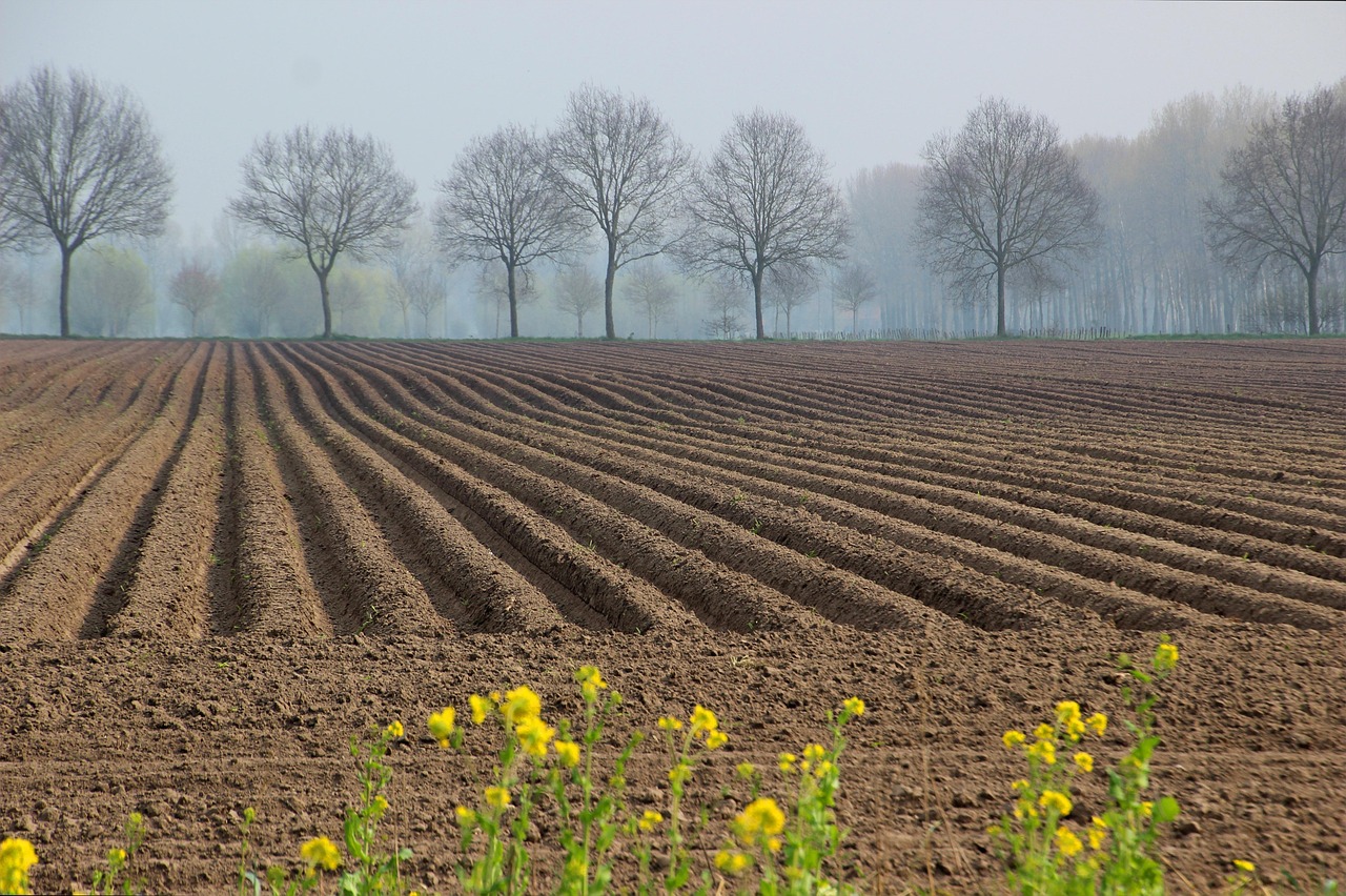 découvrez les essentielles stratégies et réglementations pour la protection des terres agricoles, garantissant la durabilité des ressources et la préservation de l'environnement. engagés pour un avenir agricole responsable.