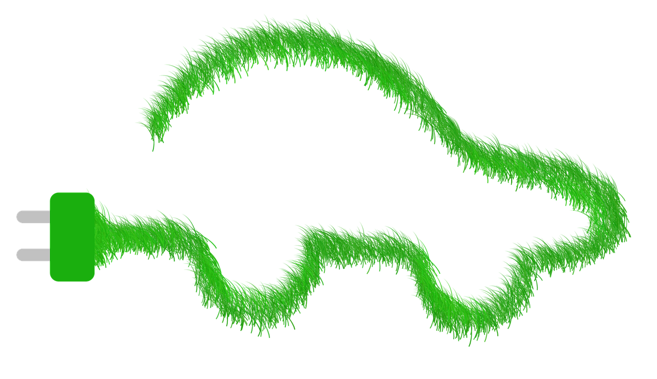 découvrez les dynamiques écologiques : une approche qui étudie comment les interactions entre les organismes et leur environnement influencent la structure, le fonctionnement et l’évolution des écosystèmes.