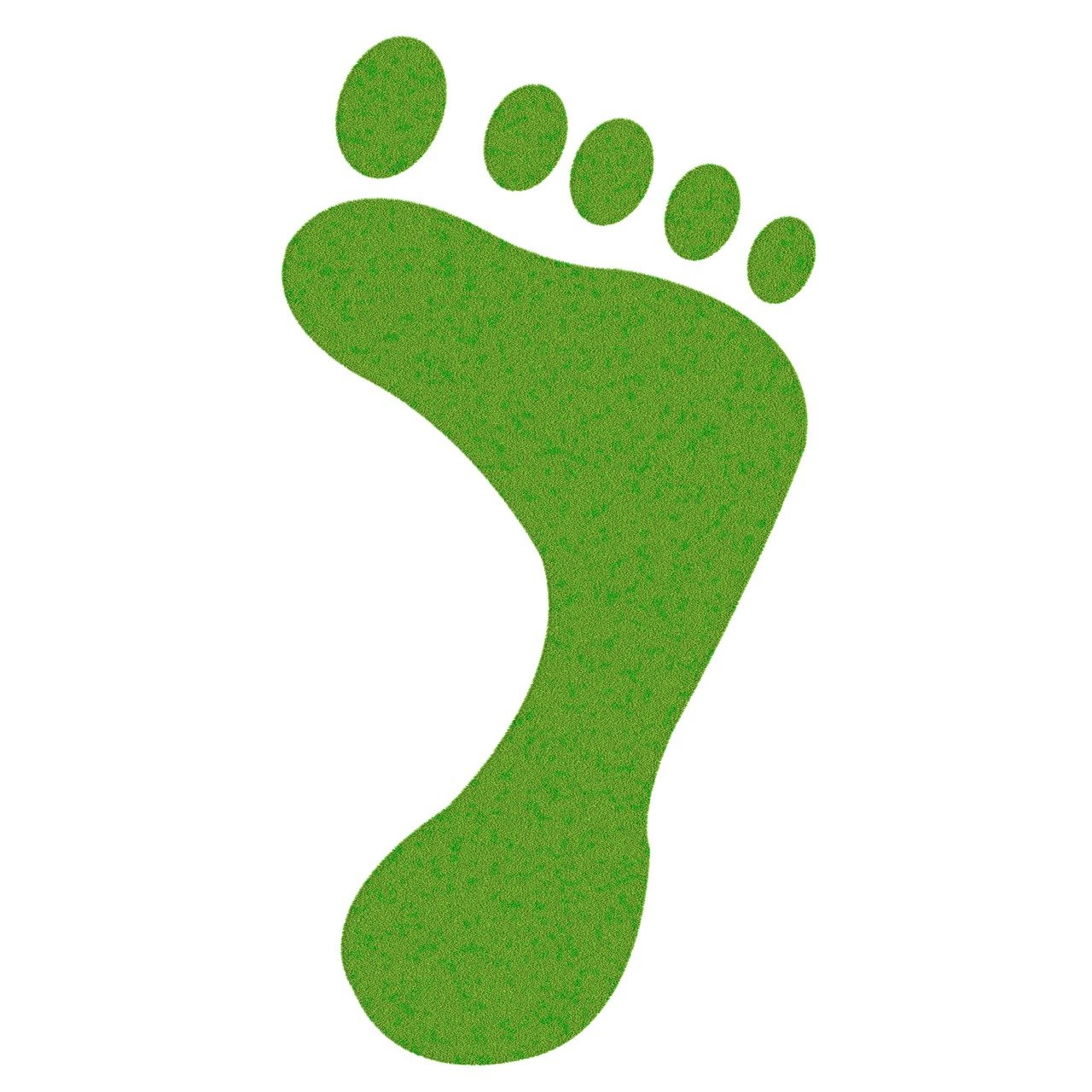 découvrez ce qu'est l'empreinte environnementale, son importance, et comment réduire votre impact sur la planète grâce à des gestes simples et responsables.