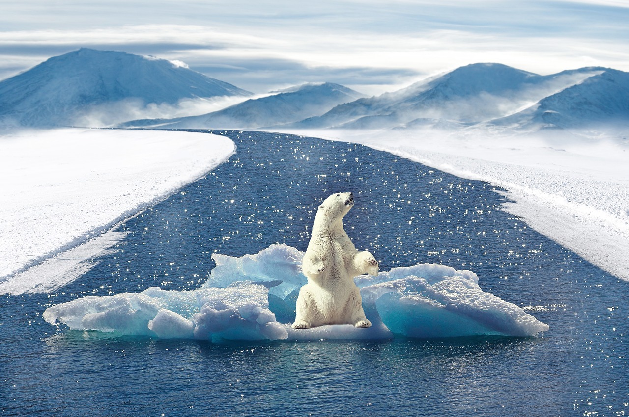 découvrez l'impact du changement climatique, ses causes, conséquences et solutions pour protéger notre planète. informez-vous sur les enjeux du climat et les actions à entreprendre dès aujourd'hui.