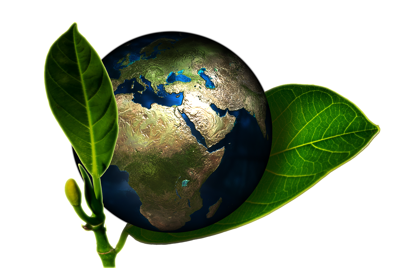 découvrez les caractéristiques, les défis et les opportunités des pays en développement à travers une analyse complète des enjeux économiques, sociaux et environnementaux.