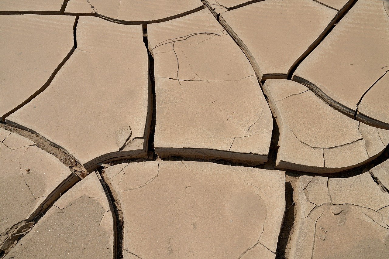 découvrez tout sur la sécheresse : ses causes, ses effets sur l’environnement et les populations, ainsi que des conseils et solutions pour la prévenir ou y faire face efficacement.