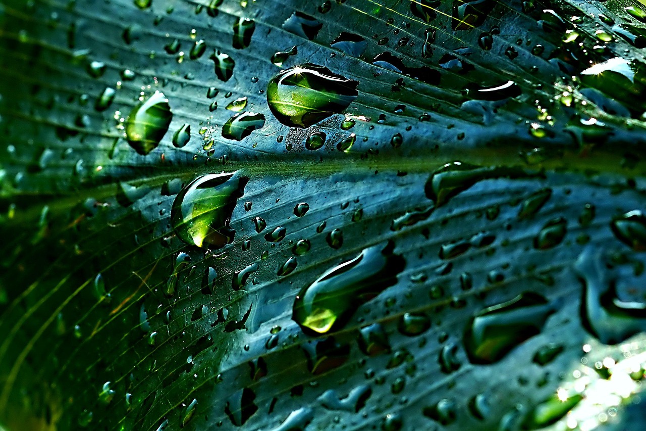 découvrez la planète terre, son histoire, sa biodiversité, et ses paysages fascinants. explorez les merveilles naturelles, la vie humaine et les enjeux environnementaux qui façonnent notre monde.