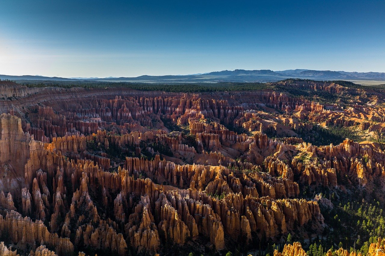 découvrez tout sur la terre : sa structure, ses caractéristiques, son environnement naturel et son importance pour la vie. informations captivantes et faits surprenants sur notre planète.