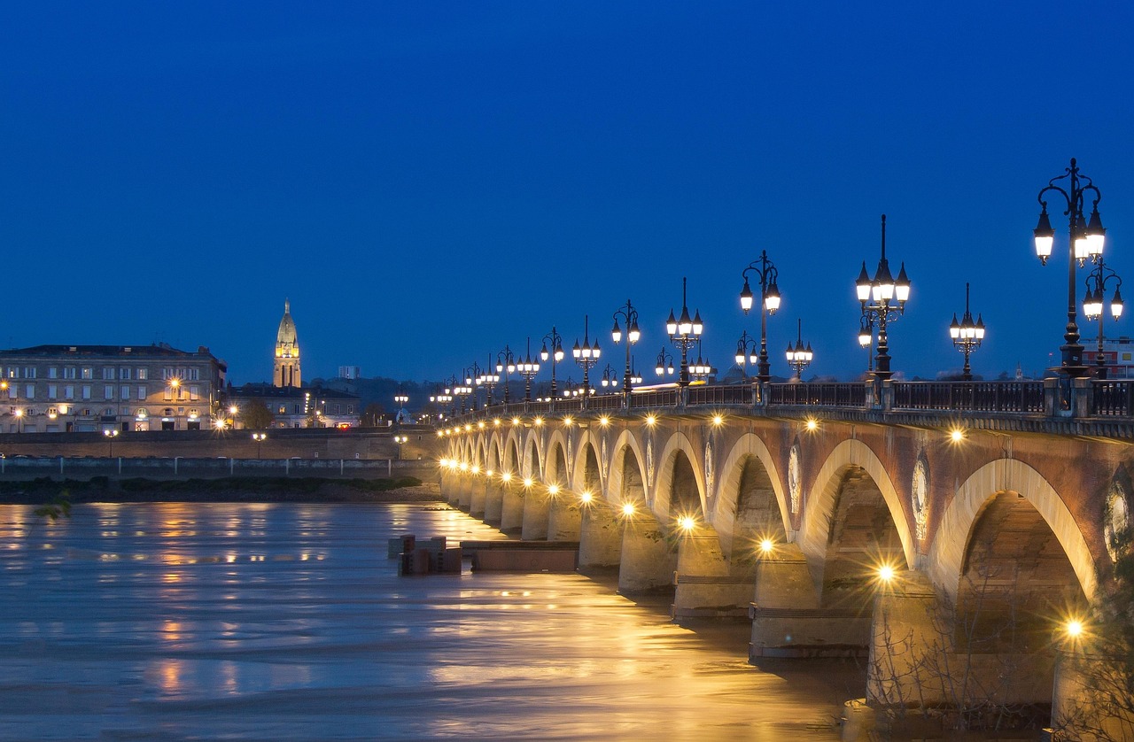 découvrez comment les ponts écologiques facilitent le passage de la faune, préservent la biodiversité et réduisent l'impact environnemental des infrastructures humaines.
