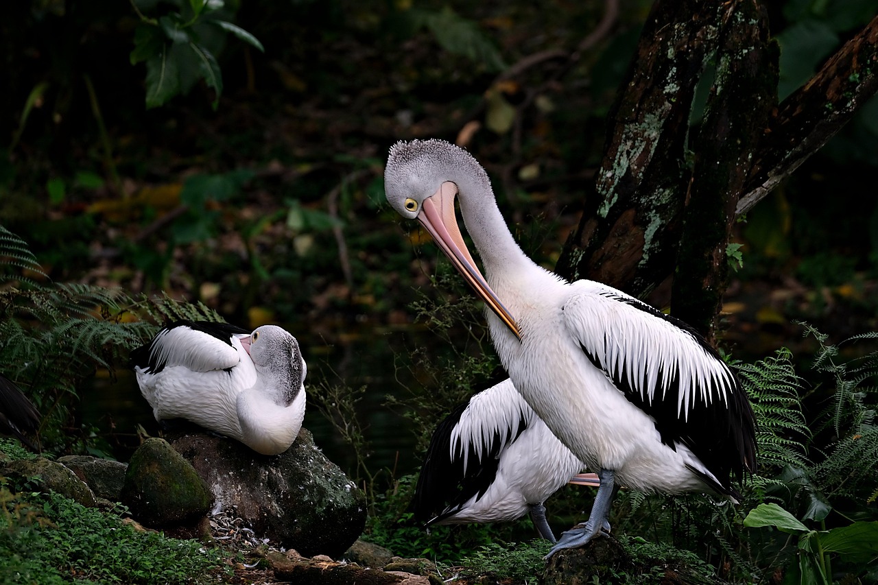 découvrez ce que sont les services écosystémiques, leur importance pour l’environnement et la société, ainsi que leur rôle dans le maintien de la biodiversité et le bien-être humain.