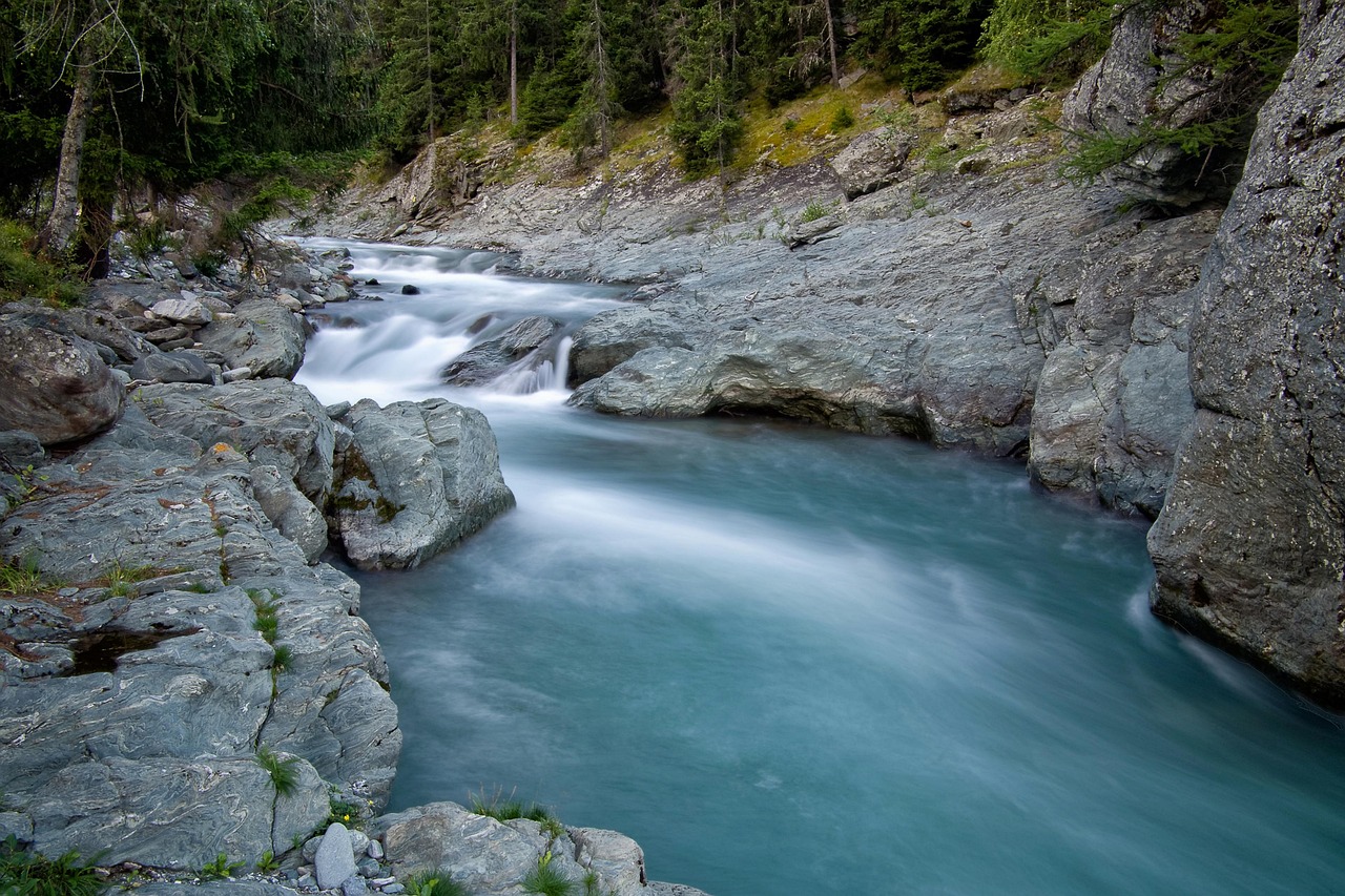 découvrez tout sur l’environnement : actualités, enjeux écologiques, conseils pour préserver la nature et agir face au changement climatique.