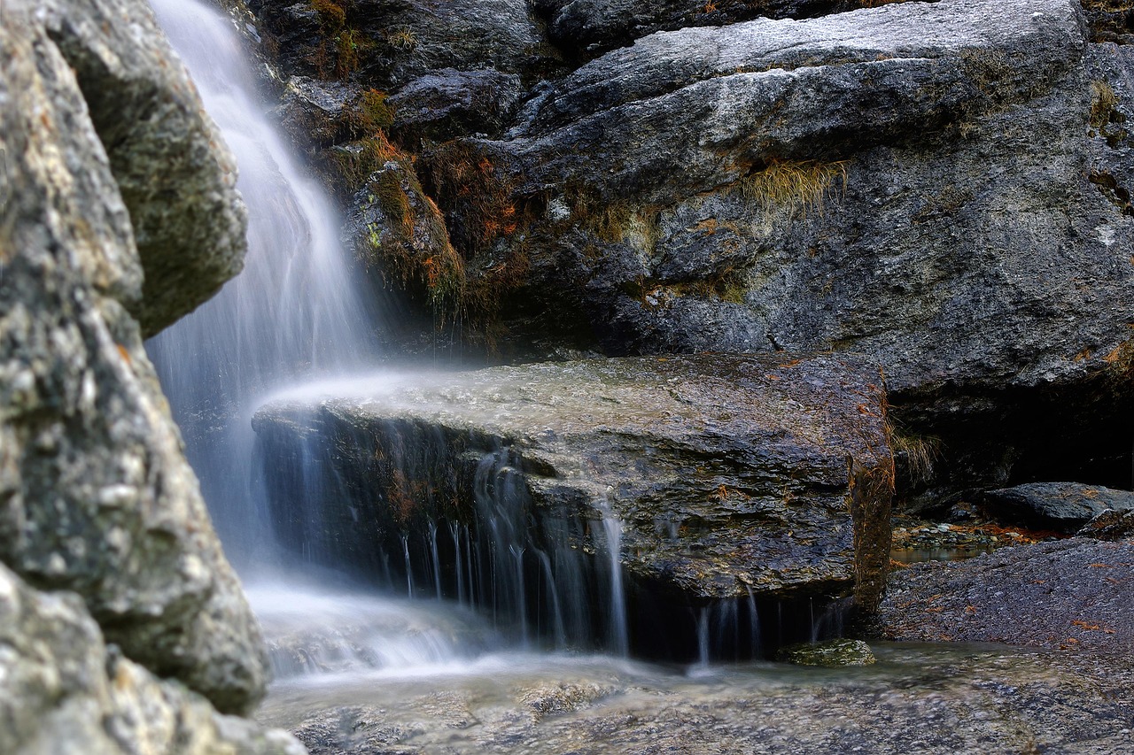 découvrez tout sur l'environnement : enjeux écologiques, solutions durables, astuces pour préserver la planète et actualités sur le changement climatique.