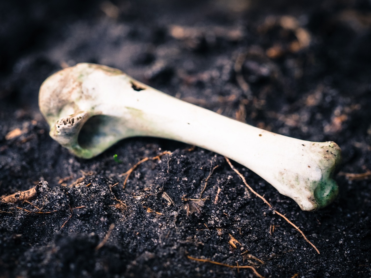 découvrez comment sensibiliser à l'environnement et adopter des gestes responsables au quotidien pour préserver la planète. conseils pratiques et informations pour accroître votre conscience écologique.