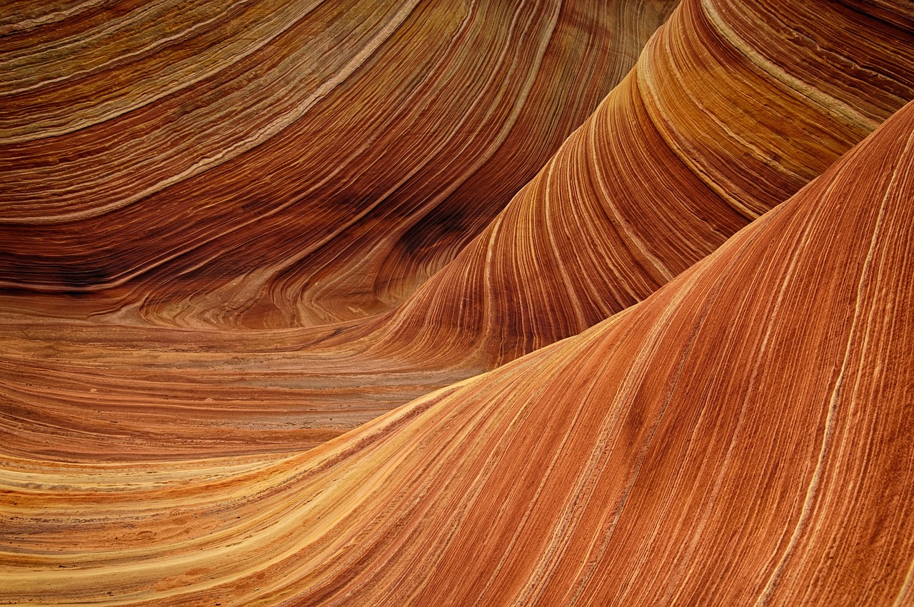 découvrez les causes, les effets et les solutions face à l'érosion, un phénomène naturel qui façonne nos paysages et impacte l'environnement. informez-vous sur les enjeux liés à la protection des sols et à la préservation de la nature.