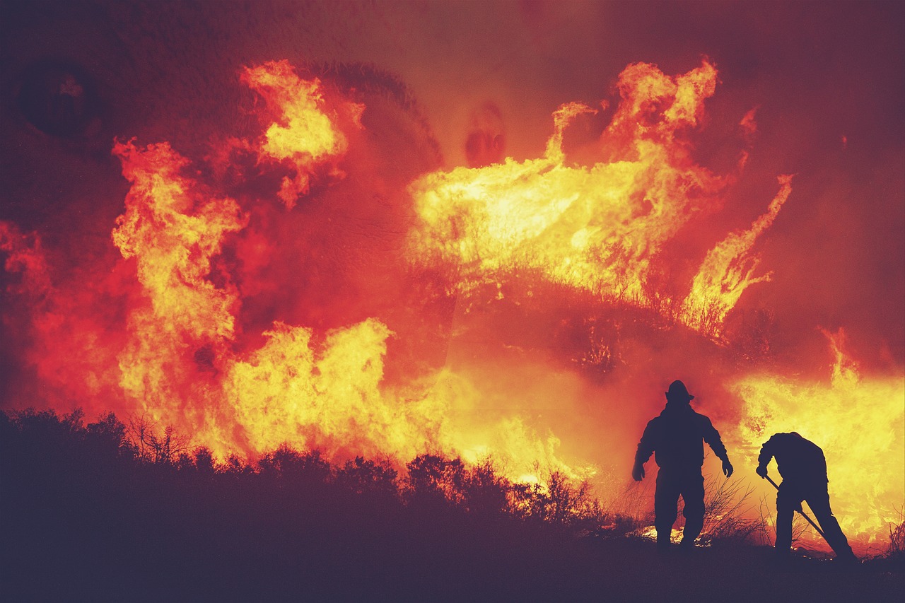 découvrez tout ce qu'il faut savoir sur les incendies de forêt : causes, conséquences environnementales, prévention et conseils pour se protéger face à ce phénomène naturel destructeur.