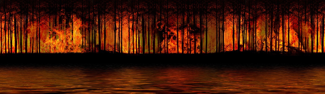 découvrez tout ce qu'il faut savoir sur les incendies de forêt : causes, conséquences environnementales et moyens de prévention pour protéger la nature et les populations.