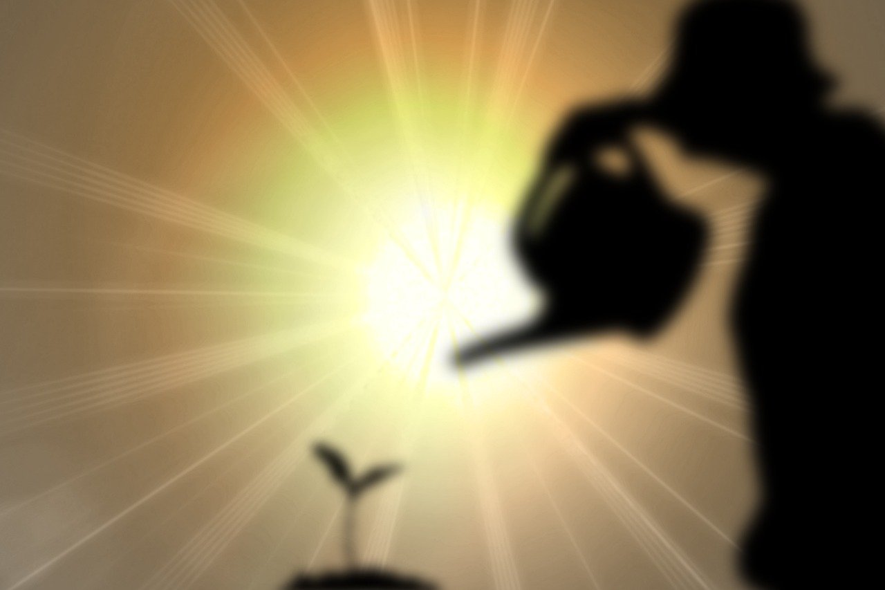 découvrez des solutions et des stratégies d'adaptation au changement climatique pour protéger l’environnement, les communautés et les activités économiques face aux nouveaux défis climatiques.