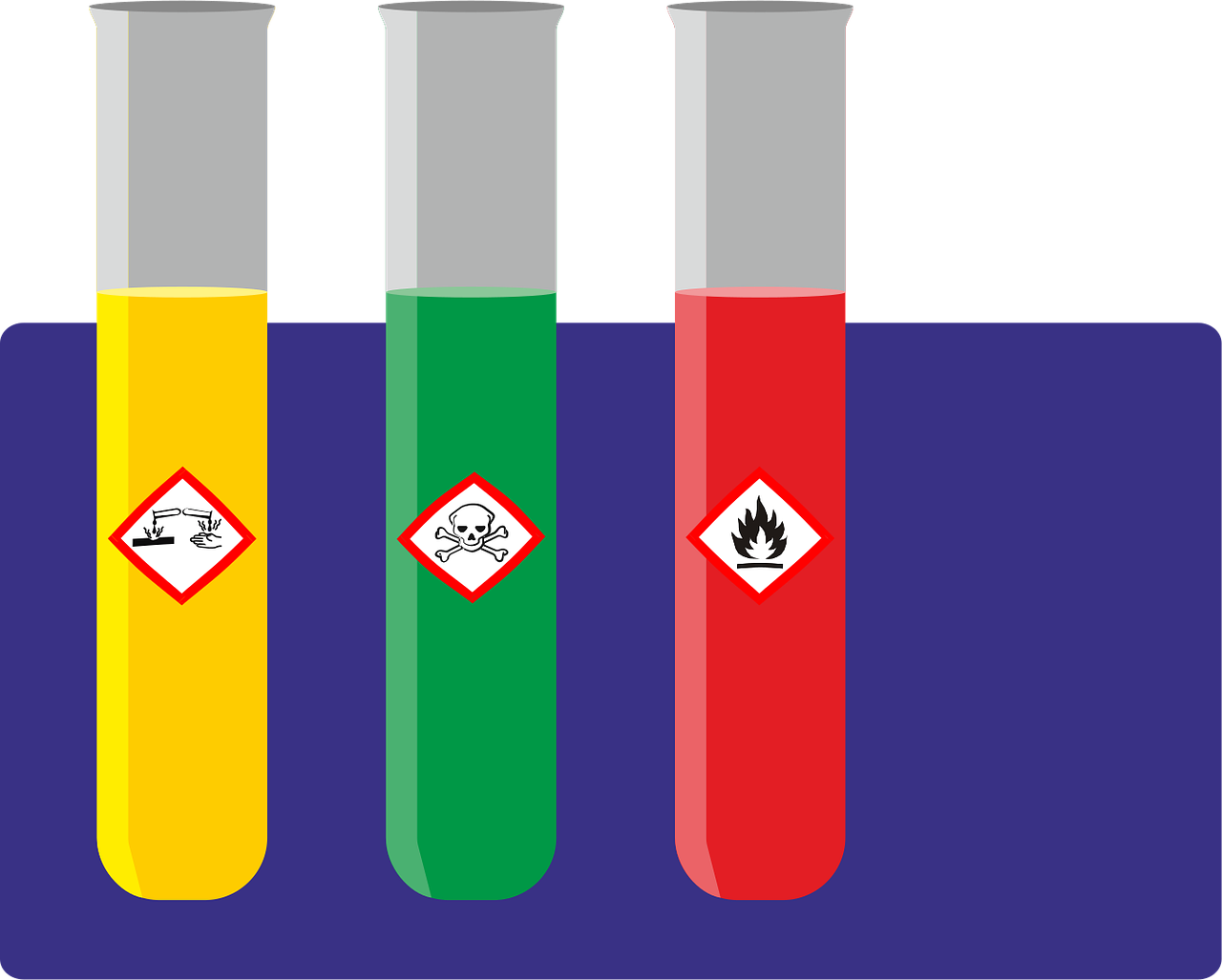 découvrez le rôle essentiel des chercheurs en environnement, leurs missions, compétences et contributions à la préservation de la planète, ainsi que les dernières avancées dans ce domaine.