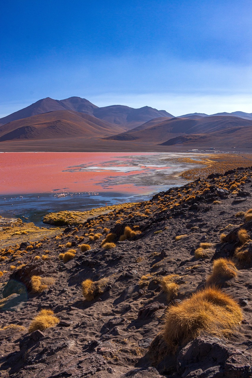 découvrez les écosystèmes de montagne : leur biodiversité unique, leur rôle écologique essentiel et les défis liés à leur préservation face au changement climatique.