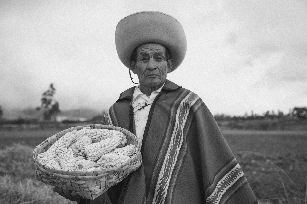 découvrez la richesse des savoirs autochtones, hérités de générations, qui offrent des perspectives uniques sur l'environnement, la santé, la culture et la société. explorez comment ces connaissances traditionnelles contribuent au développement durable et au dialogue interculturel.