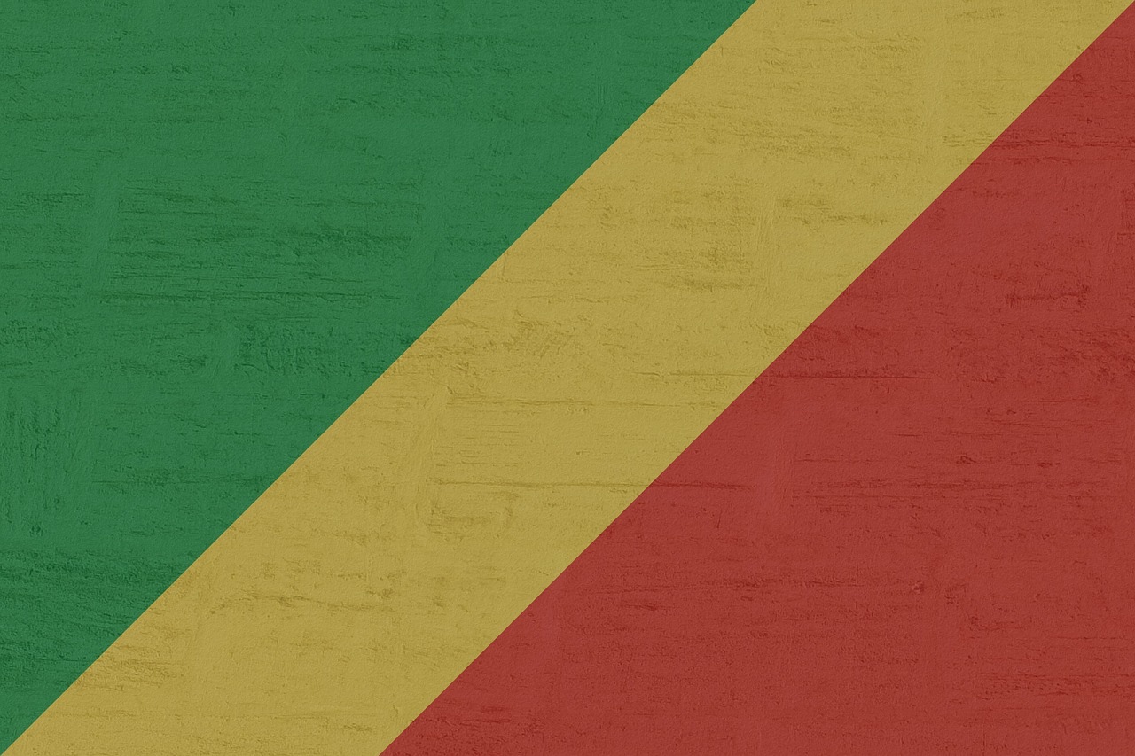 découvrez l'importance des forêts du bassin du congo, deuxième plus grand massif forestier tropical du monde, leur biodiversité unique et leur rôle essentiel dans la lutte contre le changement climatique.