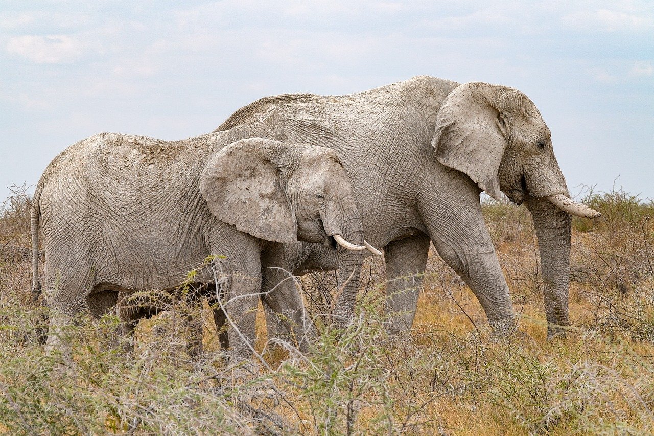 découvrez les meilleures méthodes de conservation pour préserver vos aliments, objets ou documents dans les meilleures conditions et prolonger leur durée de vie.