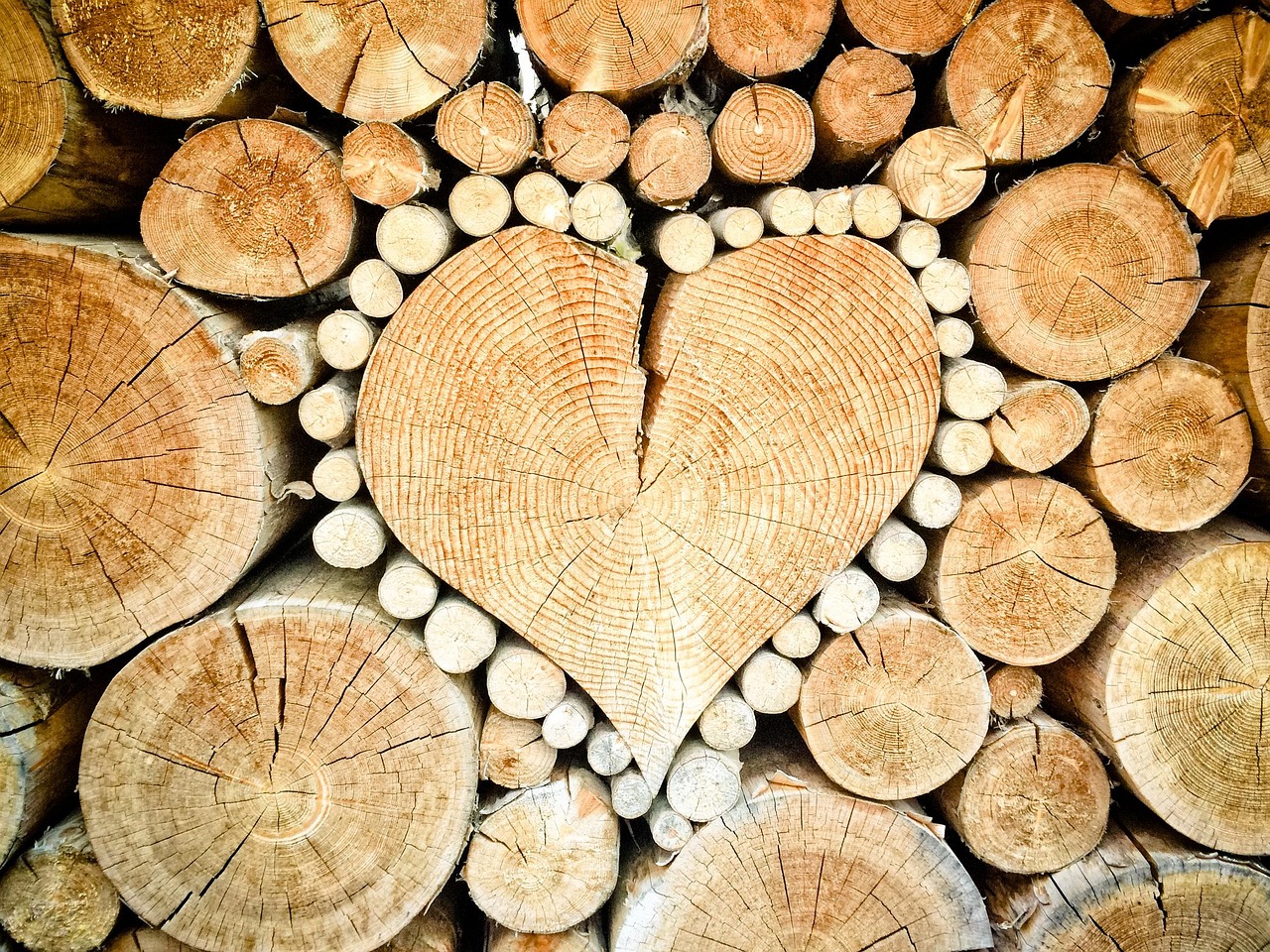 découvrez les causes, conséquences et solutions à la déforestation, un enjeu majeur pour la planète qui impacte la biodiversité, le climat et les sociétés humaines. informez-vous pour agir !