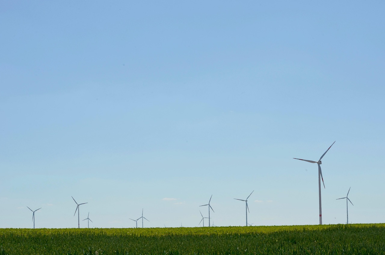 découvrez les enjeux, les solutions et les actions concrètes pour réussir la transition écologique et bâtir un avenir durable, respectueux de l’environnement.