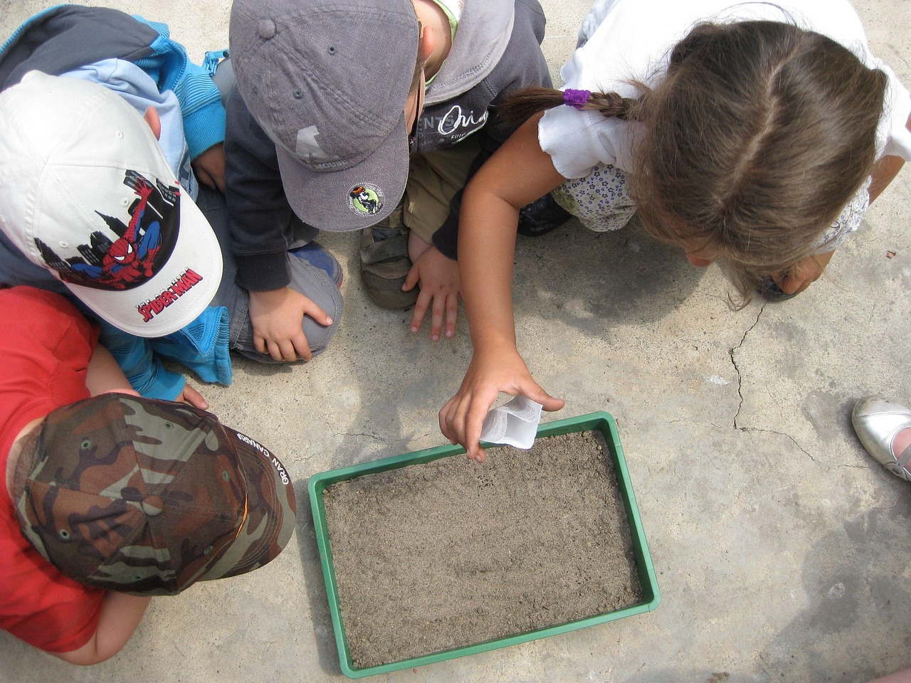 découvrez l'importance de l'éducation environnementale : ses objectifs, ses bénéfices et son rôle clé pour sensibiliser et former les citoyens à protéger la planète dès aujourd'hui.