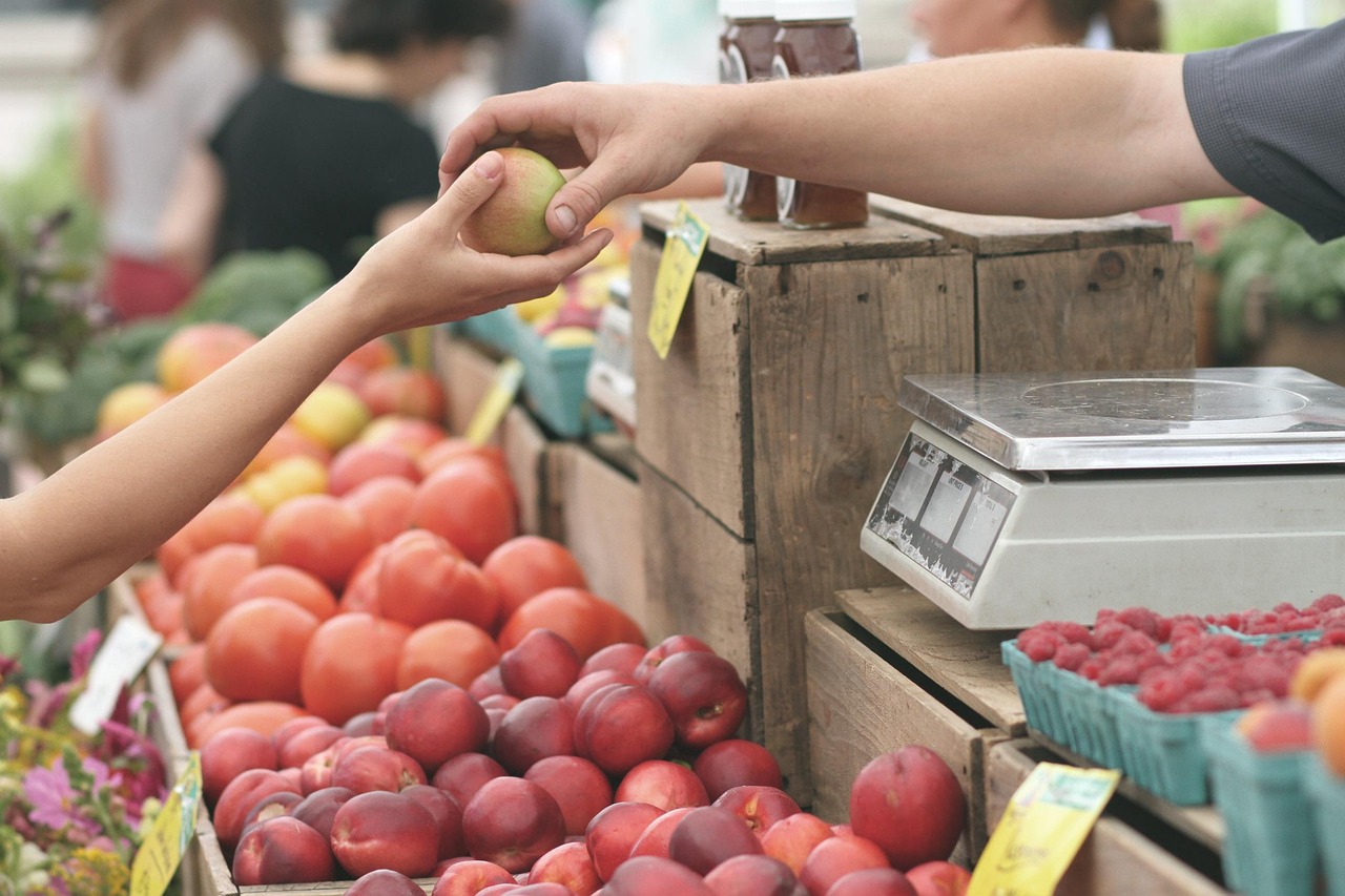 découvrez comment les initiatives locales transforment les communautés, stimulent l'économie et favorisent le développement durable à travers des projets innovants et solidaires.
