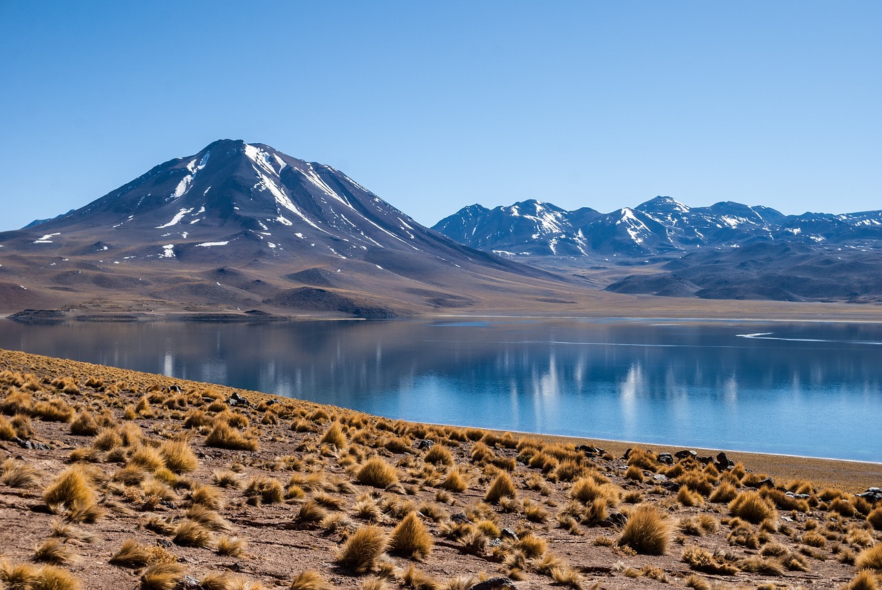 découvrez les écosystèmes de montagne : leur biodiversité unique, leur rôle essentiel dans l'environnement et les défis auxquels ils font face face au changement climatique.