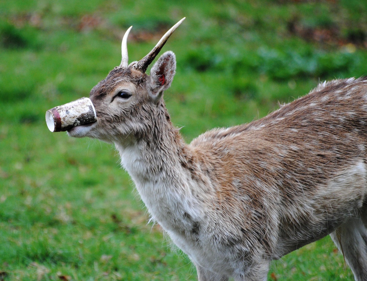 découvrez les causes, les conséquences et les solutions pour lutter contre la pollution de l'air, de l'eau et des sols afin de préserver l'environnement et la santé.