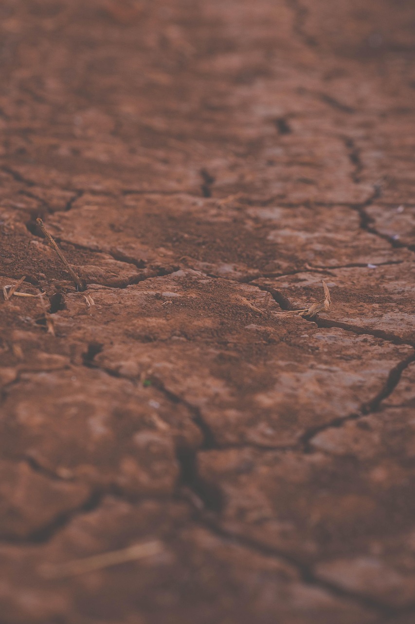 découvrez tout sur le sol, ses compositions, ses rôles dans l’environnement, et les meilleures pratiques pour préserver sa fertilité et sa santé. infos, conseils et analyses sur le sol.