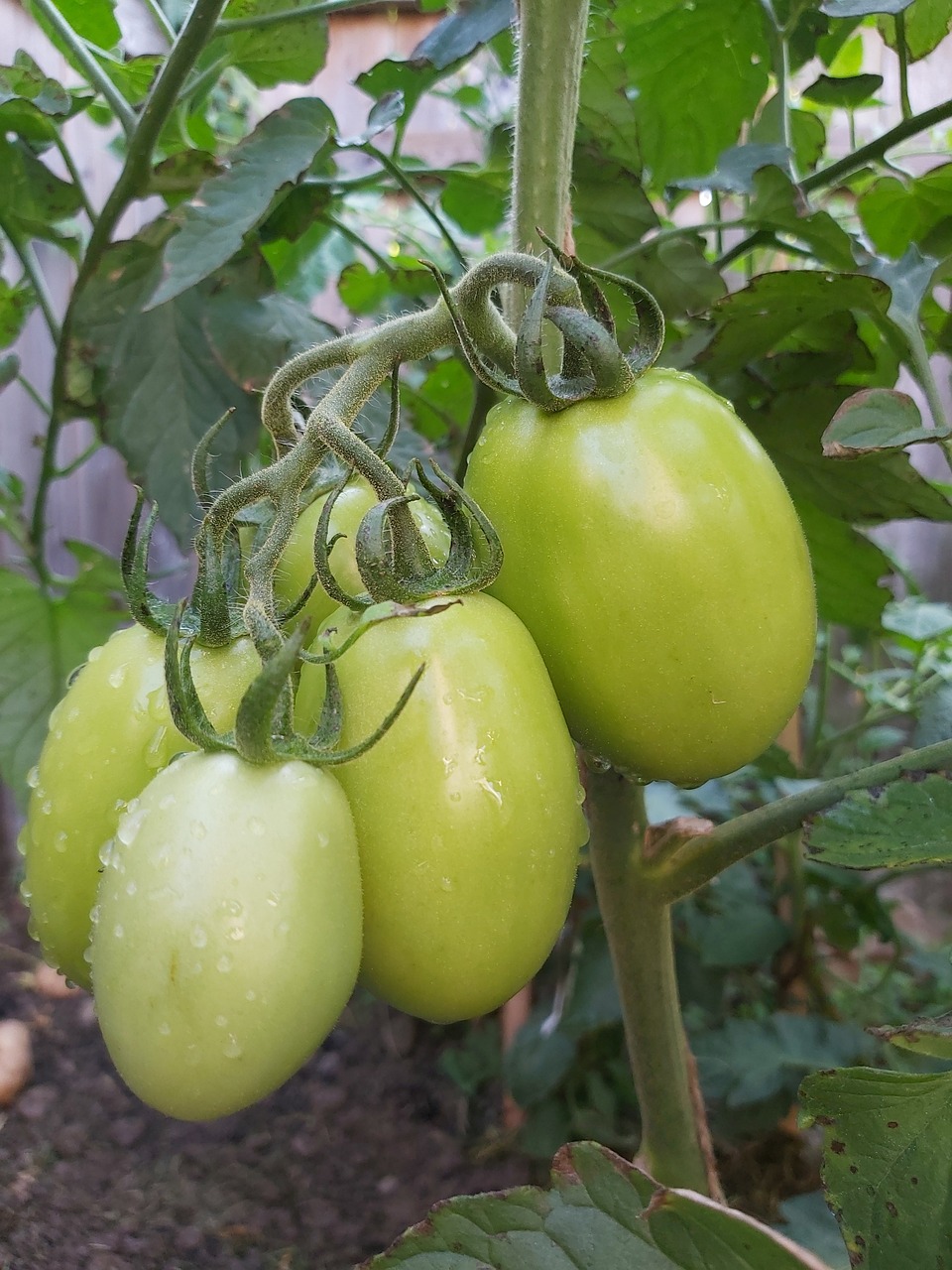découvrez comment adopter une alimentation durable pour préserver la planète et votre santé. conseils, astuces et choix responsables pour une nutrition respectueuse de l’environnement.
