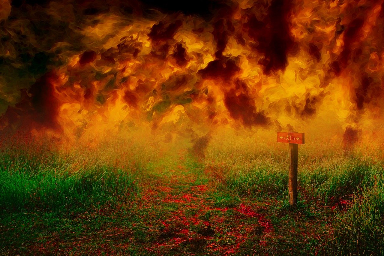 découvrez tout sur les feux de forêt : causes, conséquences sur l'environnement, moyens de prévention et actions à entreprendre en cas d'incendie. informez-vous pour mieux protéger la nature et votre sécurité.